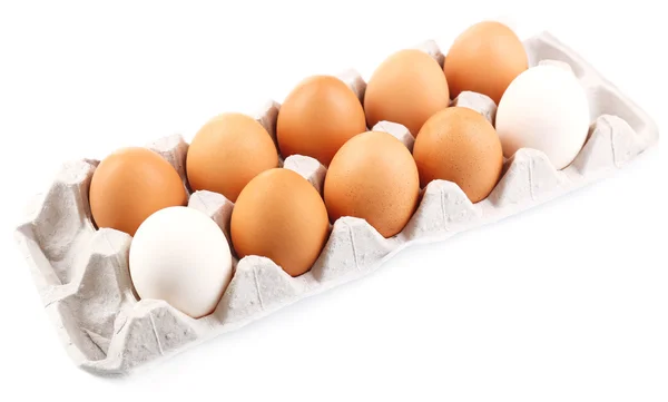 Different eggs in carton pack isolated on white — Stock Photo, Image