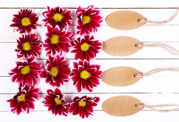 Bellissimi fiori di crisantemo e tag vuoti su sfondo di legno bianco — Foto Stock