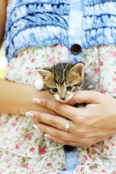 Cute little kitten in hands outdoors — Stock Photo, Image