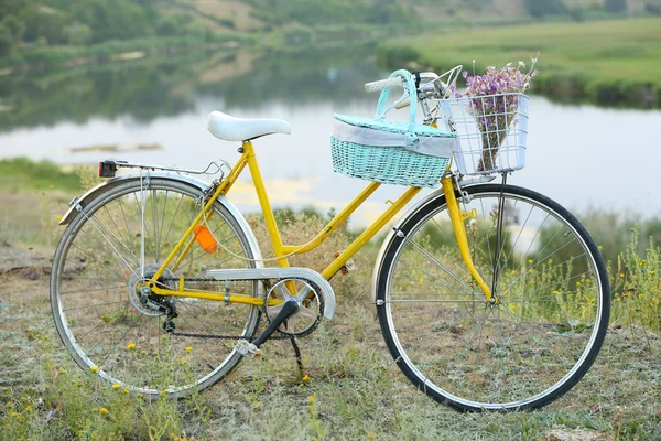 Bicicletă pe pajiște în timpul apusului de soare — Fotografie, imagine de stoc