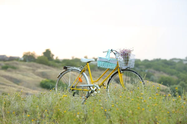 Cykel i ängen under solnedgången — Stockfoto