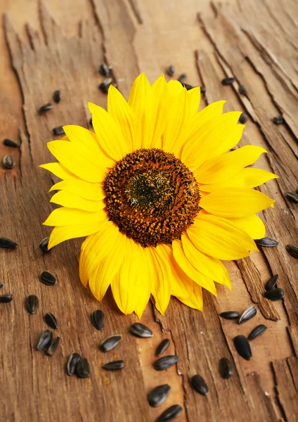 Sunflower with seeds on wooden background — Stock Photo, Image