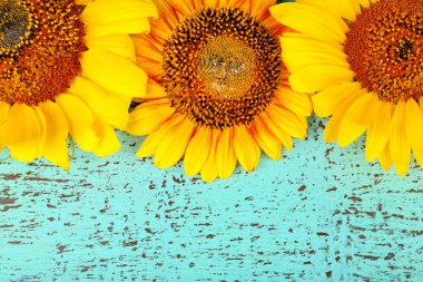 Ahşap arka planda güzel ayçiçekleri