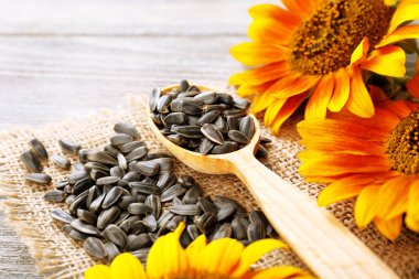Ayçiçeği ve ahşap zemin üzerine kaşıkla tohumlar