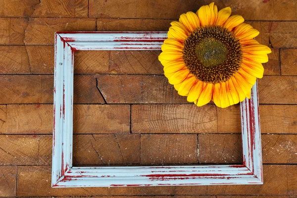 Hermoso girasol sobre marco sobre fondo de madera —  Fotos de Stock