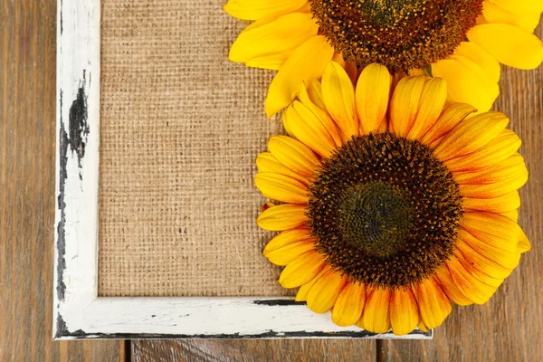 Beautiful sunflowers with frame on wooden background — Stock Photo, Image