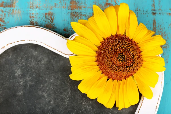 Piękna tablica słonecznika puste na drewniane tła — Zdjęcie stockowe