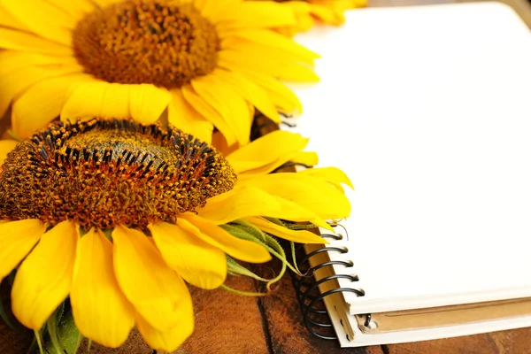 Hermosos girasoles con bloc de notas sobre fondo de madera — Foto de Stock