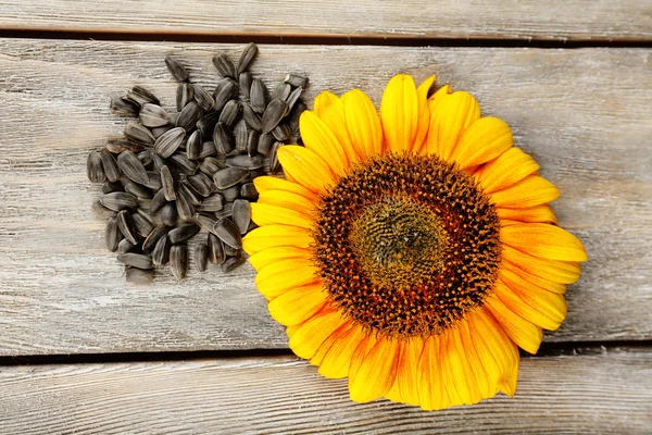 Zonnebloem en zaden op houten achtergrond — Stockfoto