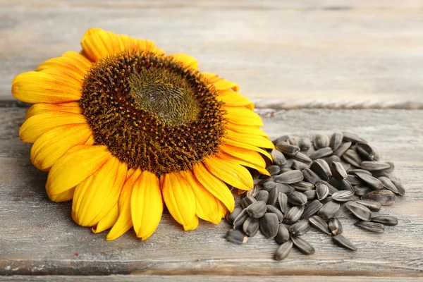 Sunflower and seeds on wooden background — Stock Photo, Image