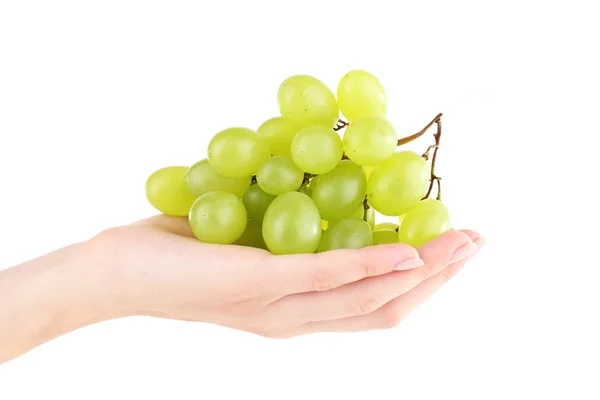 Green grape in hand isolated on white — Stock Photo, Image