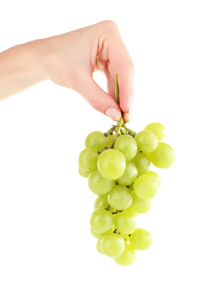 Green grape in hand isolated on white — Stock Photo, Image