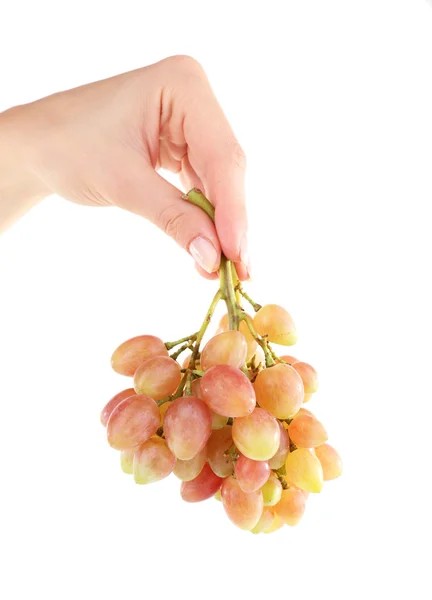 Grape in hand isolated on white — Stock Photo, Image