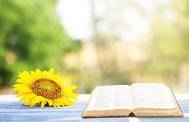 açık açık havada tablo kitap