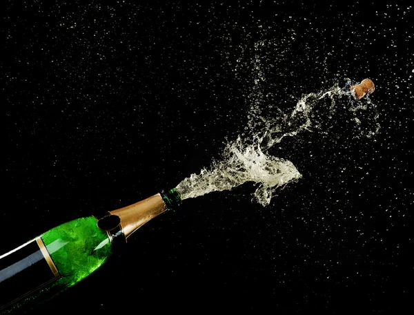 Champagne splashes on black background — Stock Photo, Image