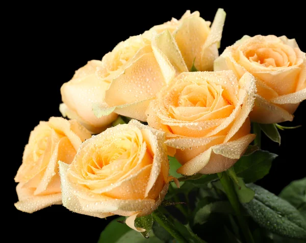 Kytice z krásných růží — Stock fotografie