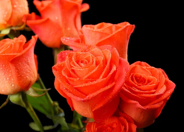 Bouquet of beautiful roses — Stock Photo, Image