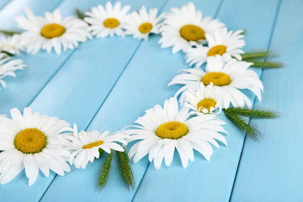 Chamomile wreath on blue wooden background — Stock Photo, Image