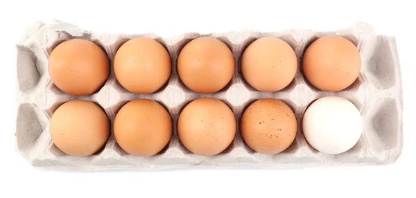 Διαφορετικά αυγά σε χαρτοκιβώτιο πακέτο που απομονώνονται σε λευκό — Φωτογραφία Αρχείου