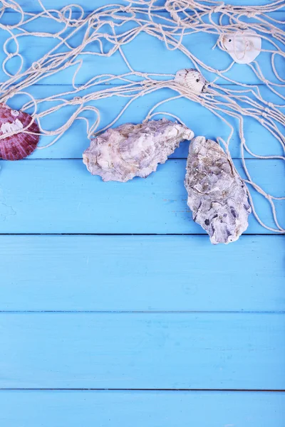 Dekor von Muscheln in Nahaufnahme auf blauem Holztisch — Stockfoto