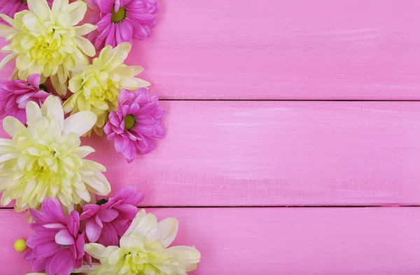 Bellissimi fiori di crisantemo su sfondo di legno rosa — Foto Stock