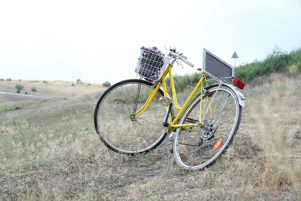 Cykel i ängen under solnedgången — Stockfoto