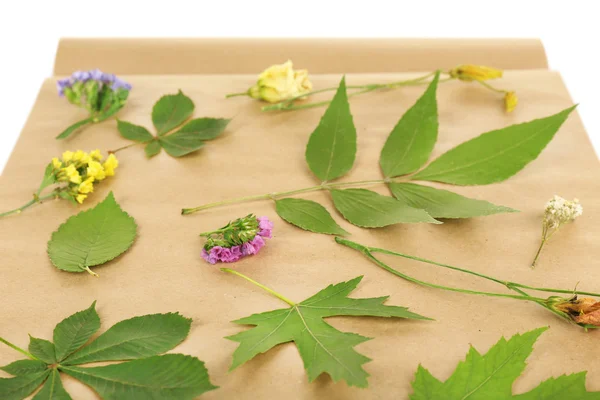 Droog van planten op Kladblok close-up — Stockfoto