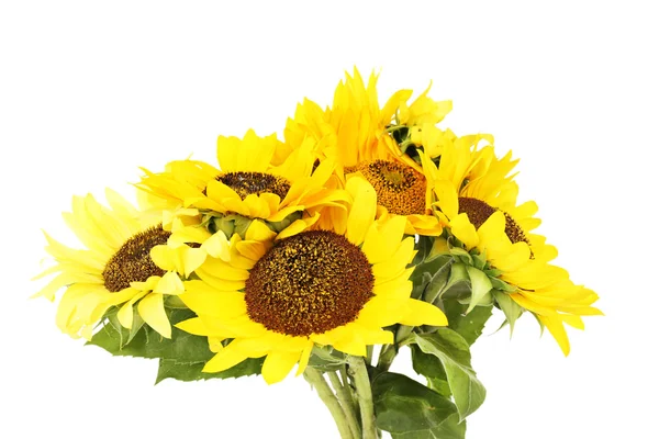 Beautiful bouquet of sunflowers isolated on white — Stock Photo, Image