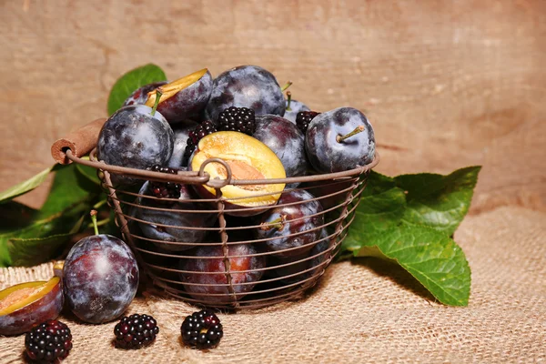 Prunes sucrées mûres dans un vieux panier en métal, sur une table en bois — Photo