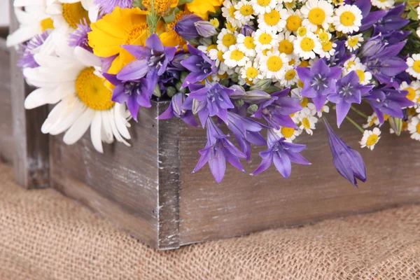 Beautiful flowers in crate — Stock Photo, Image