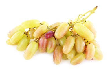 Üzüm beyazda izole edildi