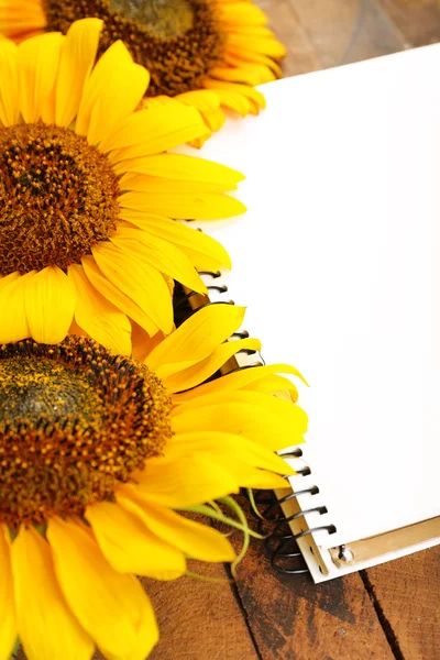 Beautiful sunflowers with notepad on wooden background — Stock Photo, Image