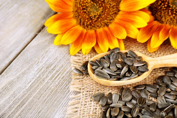 Zonnebloemen en zaden met lepel op houten achtergrond — Stockfoto