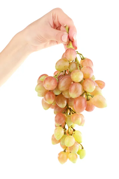 Grape in hand isolated on white — Stock Photo, Image
