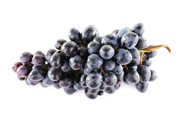 Purple grape in hand isolated on white — Stock Photo, Image