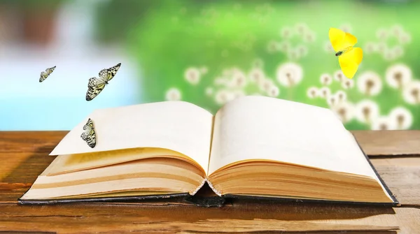 Old book with butterflies outdoors — Stock Photo, Image