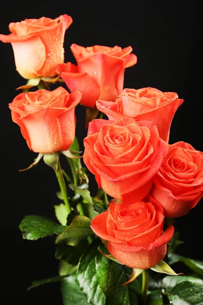 Bouquet of beautiful roses on black background — Stock Photo, Image