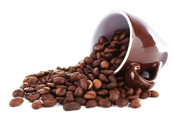 白で隔離されるコーヒー豆のマグカップ — ストック写真