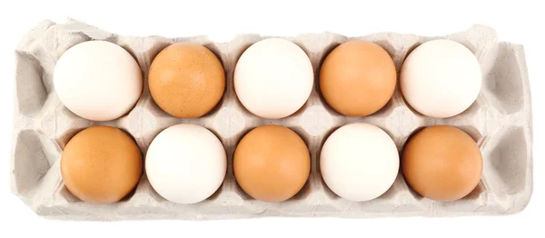 Different eggs in carton pack — Stock Photo, Image