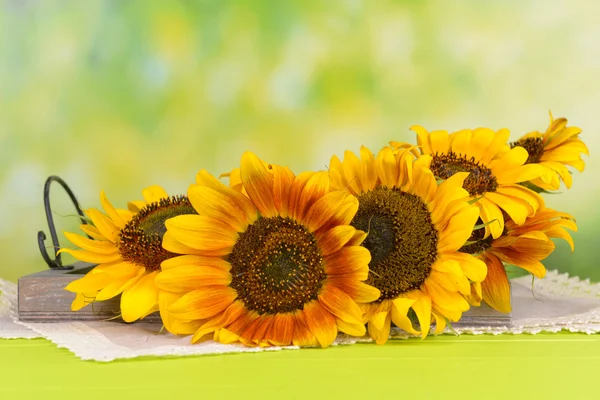 Pięknych słoneczników w dzban — Zdjęcie stockowe