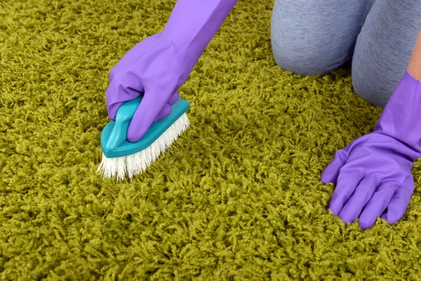 Cleaning carpet with brush — Stock Photo, Image