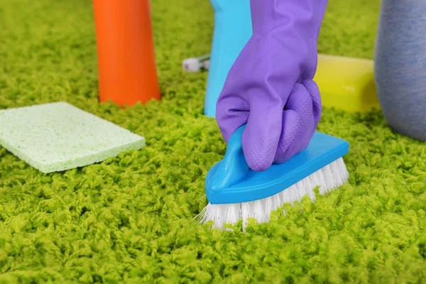 Cleaning carpet with brush — Stock Photo, Image