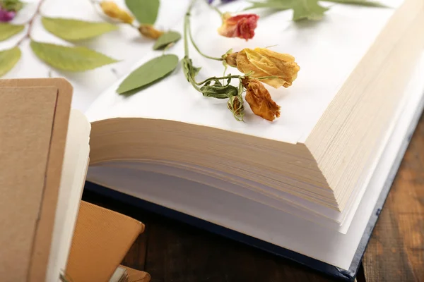 Dry up plants on book — Stock Photo, Image