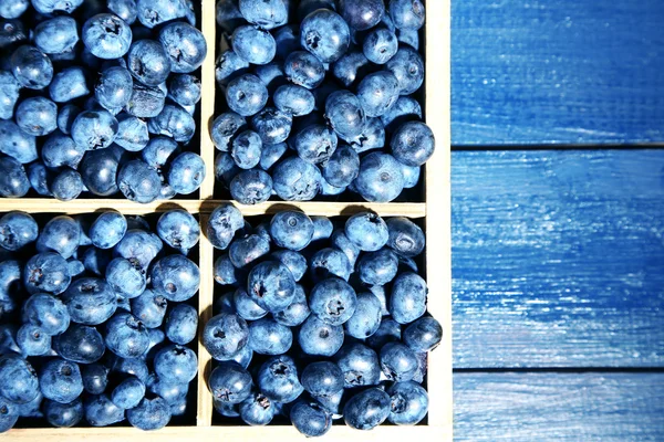 Leckere reife Blaubeeren — Stockfoto