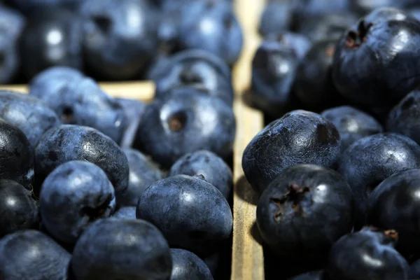 Leckere reife Blaubeeren — Stockfoto