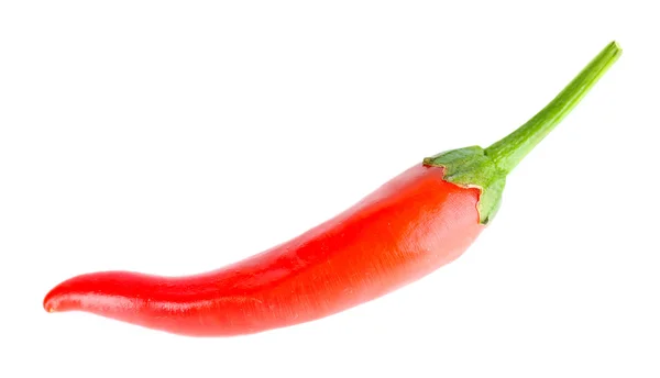 Red hot chili pepper — Stock Photo, Image