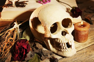 İnsan kafatası kurutulmuş gül desenli