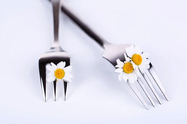 Garfos com flor de margarida, isolados em branco — Fotografia de Stock