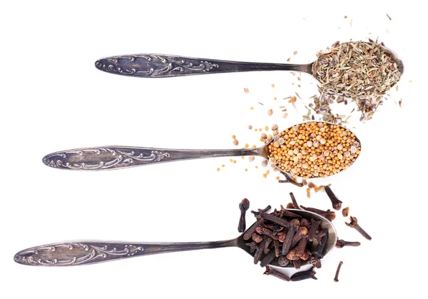 Spoons with herbal seasoning on white background isolated — Stock Photo, Image