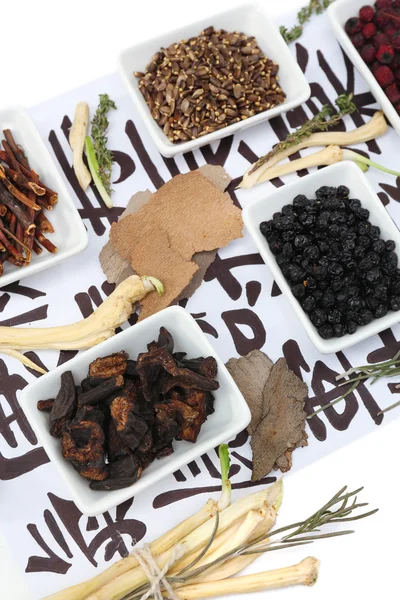 Traditional chinese herbal medicine ingredients on not real hieroglyphs, close-up — Stock Photo, Image